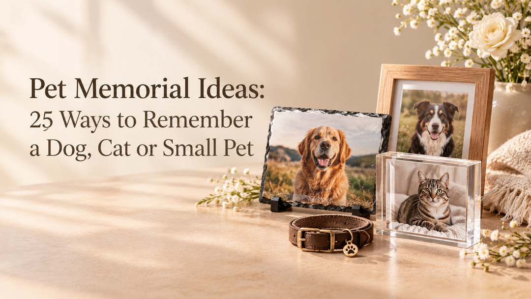 Pet Memorial Ideas: 25 Ways to Remember a Dog, Cat or Small Pet