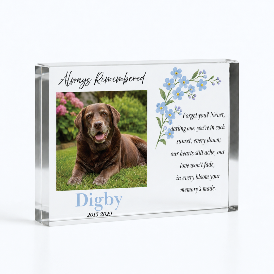 Forget me not pet memorial, A6 acrylic block with blue flowers, a chocolate Labrador photo and name Digby
