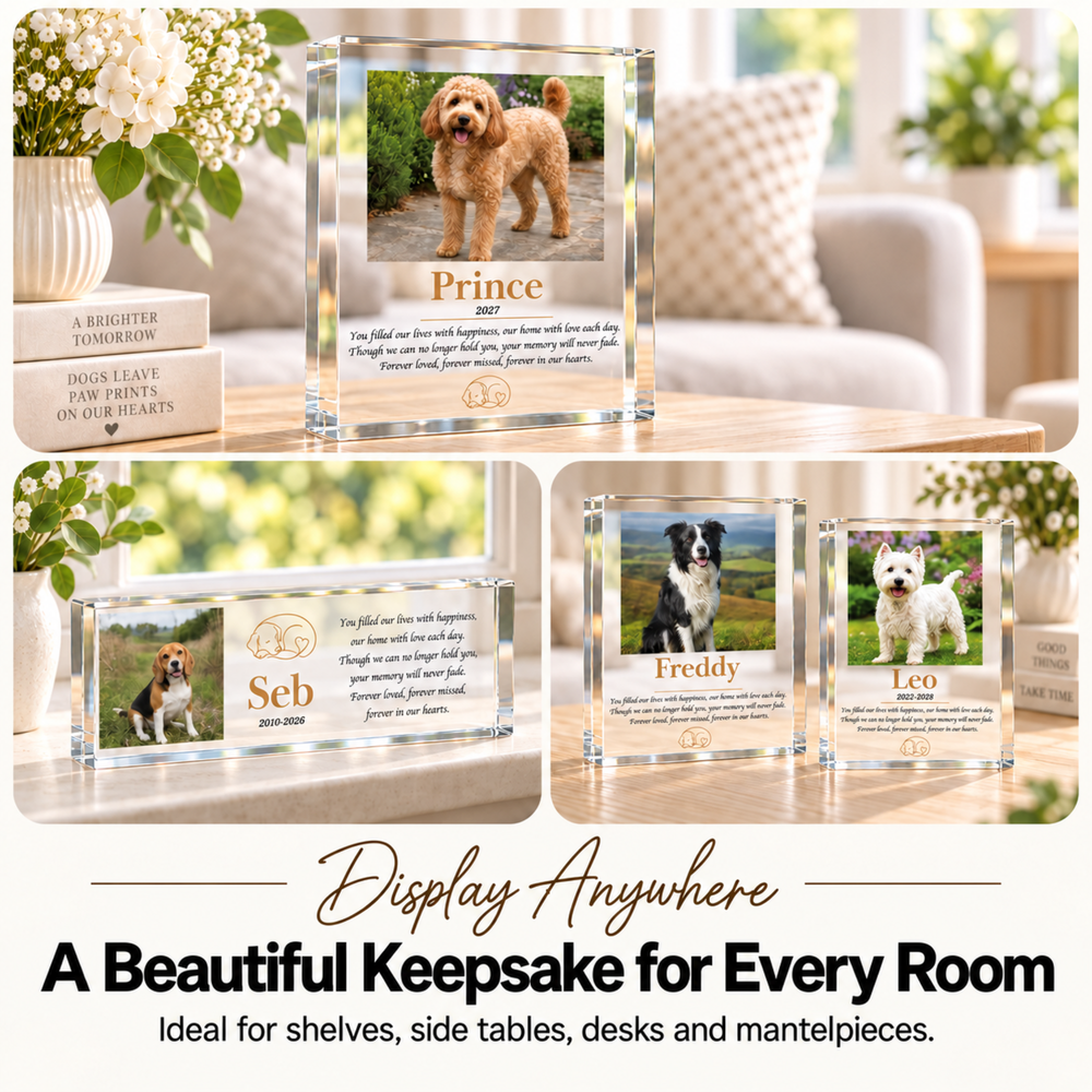 Dog memorial photo blocks with a cockapoo named Prince and other dogs displayed on a shelf and side table