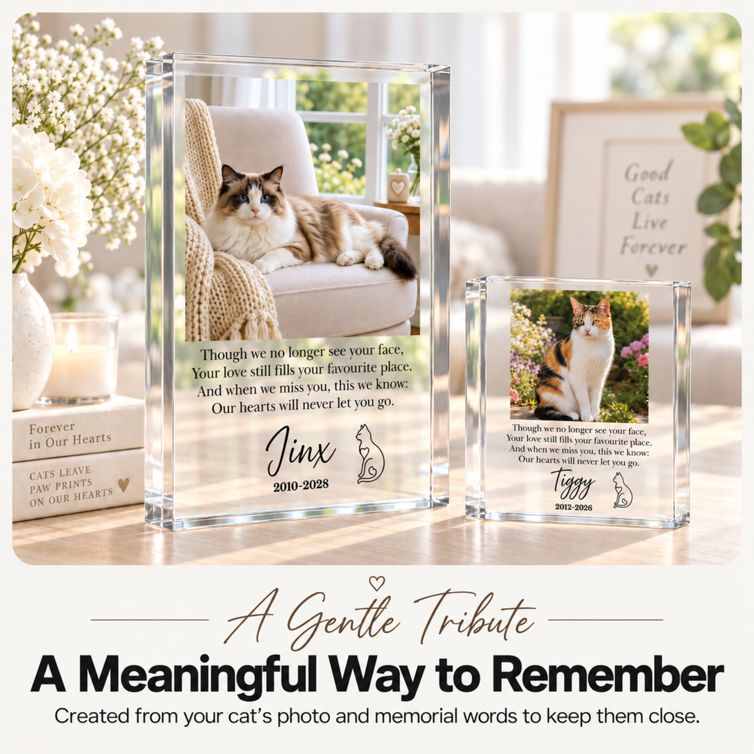 Cat remembrance gift blocks with ragdoll Jinx and calico Tiggy on a shelf beside white flowers
