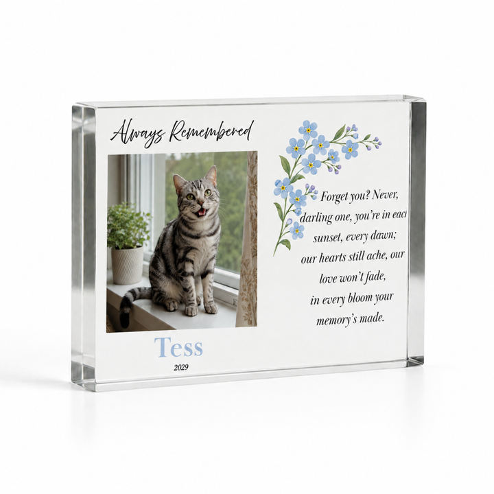 A7 forget me not pet memorial block with a tabby cat photo and name Tess in soft blue