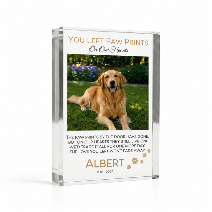 A7 paw prints pet remembrance block with a golden retriever photo and name Albert