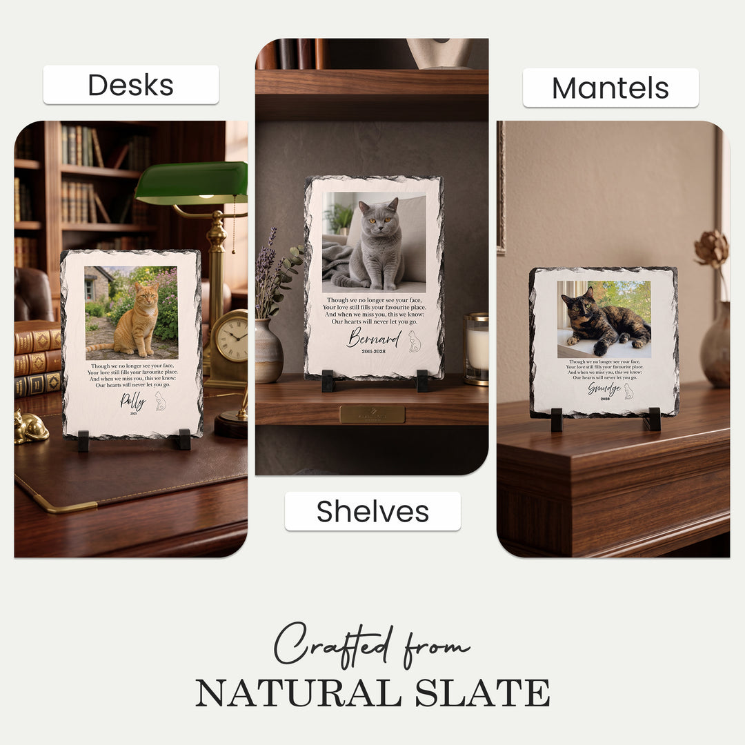 Cat memorial stone displayed on a desk, a mantelpiece and shelves at home