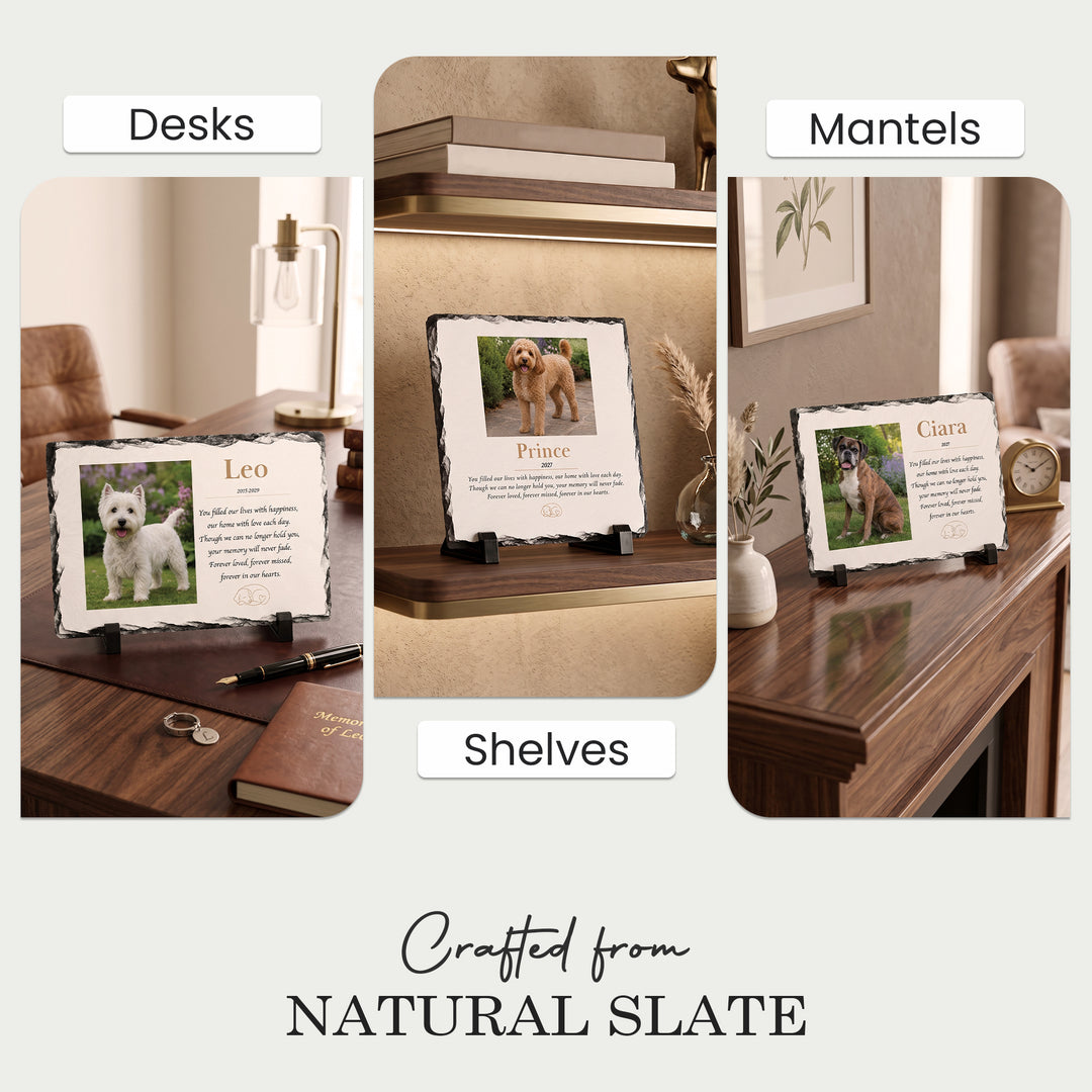 Dog memorial stone displayed on a desk, a mantelpiece and shelves at home