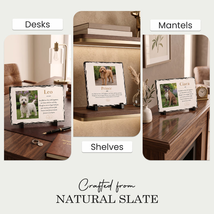 Dog memorial stone displayed on a desk, a mantelpiece and shelves at home