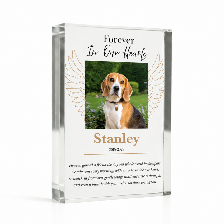 A5 angel wings pet bereavement gift with a beagle photo and name Stanley