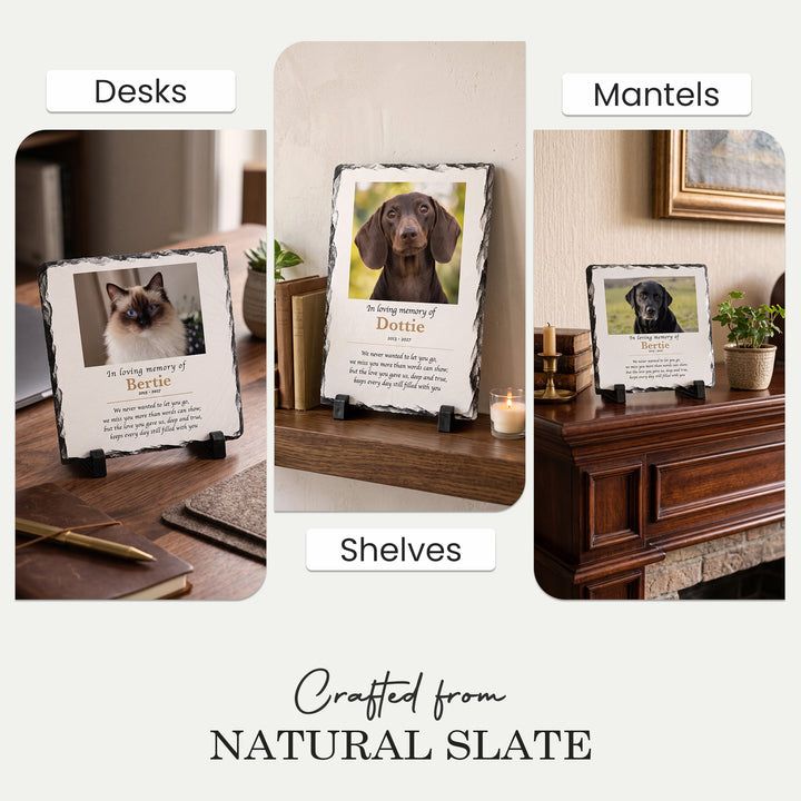 In Loving Memory pet memorial stone displayed on a desk, a mantelpiece and shelves at home