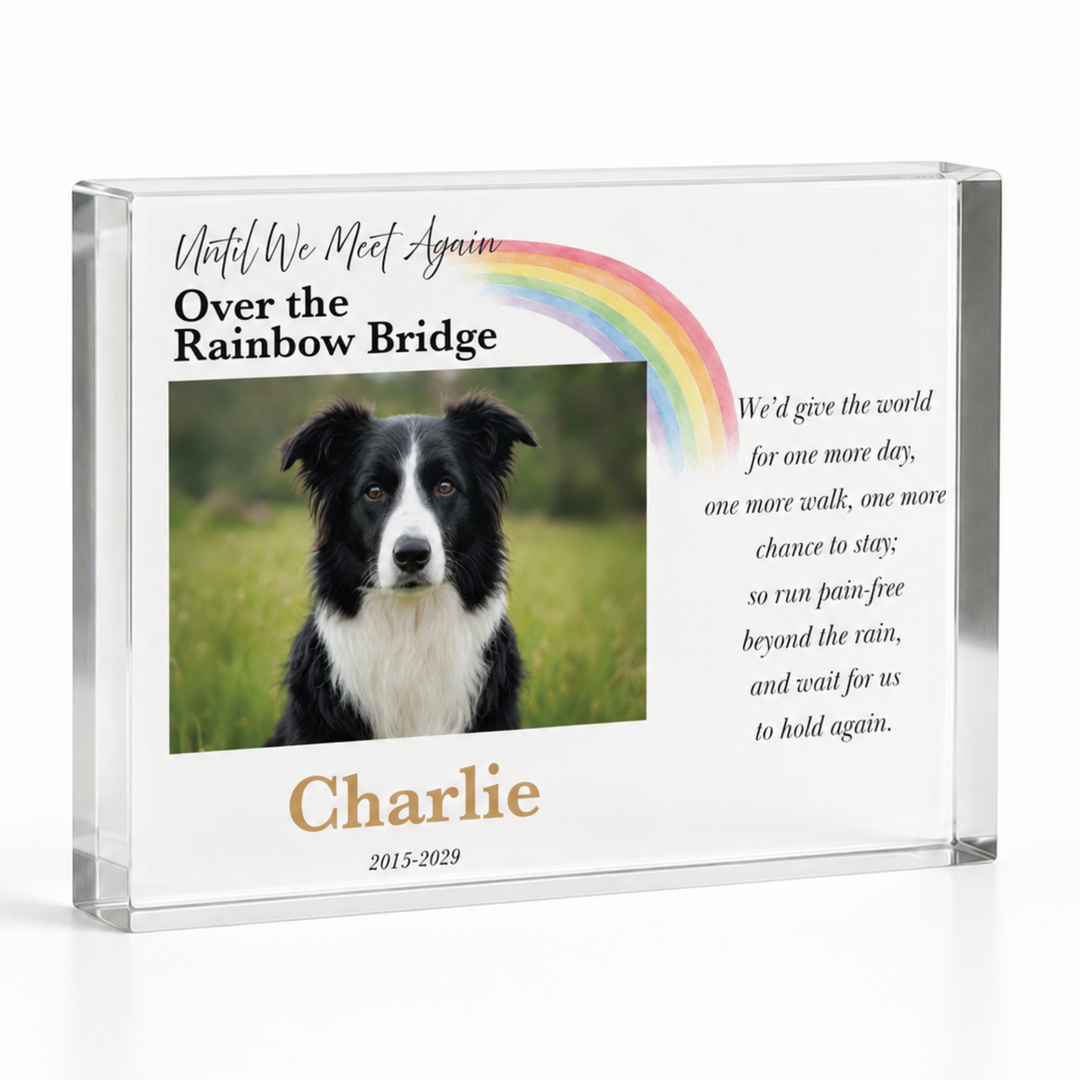 A5 Rainbow Bridge pet loss gift with a border collie photo, rainbow, verse and name Charlie