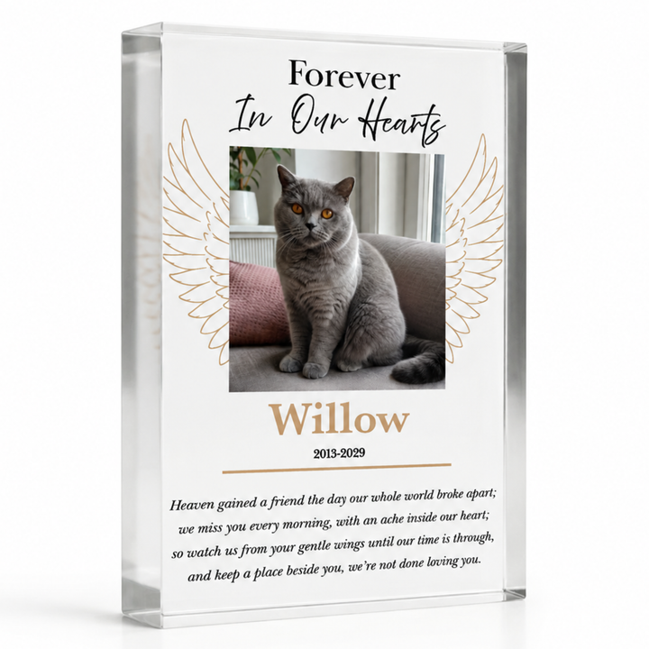 A4 Forever In Our Hearts angel wings block with a grey cat photo and name Willow