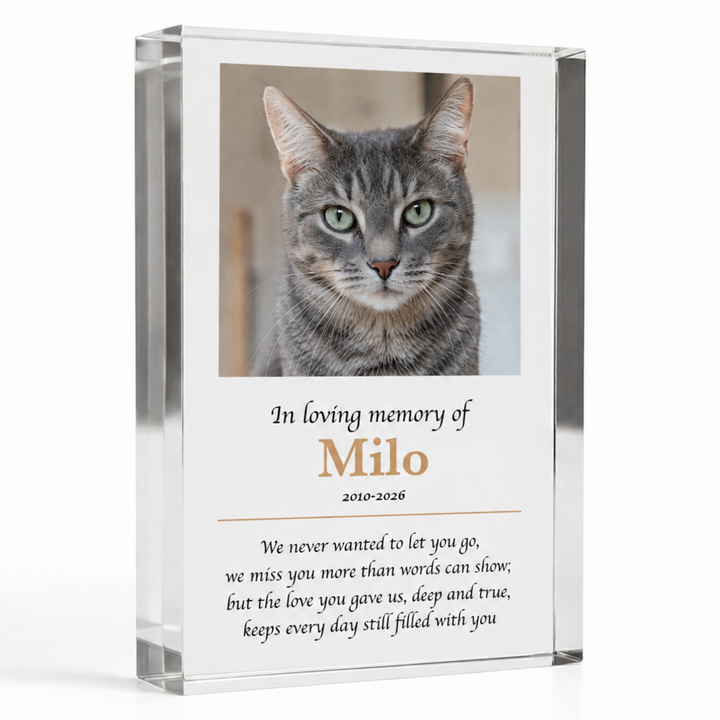 A4 in loving memory pet memorial block with a tabby cat photo, name Milo, dates and a verse
