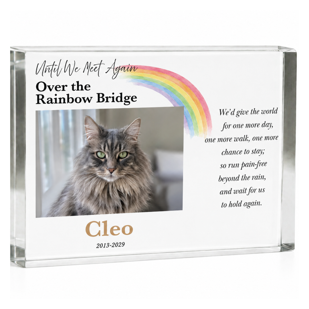 A4 Rainbow Bridge pet memorial block with a long-haired tabby cat photo, rainbow and name Cleo