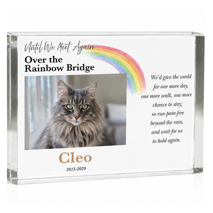 A4 Rainbow Bridge pet memorial block with a long-haired tabby cat photo, rainbow and name Cleo