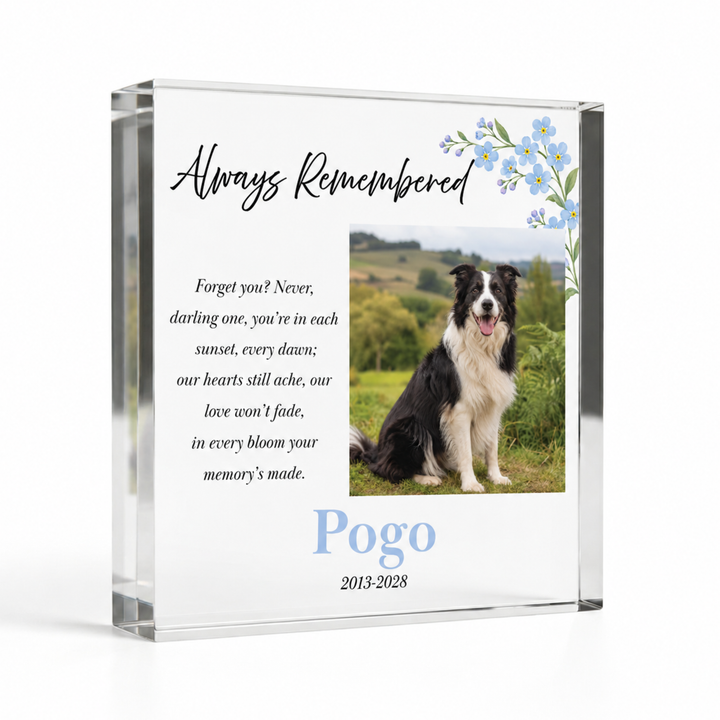 10x10cm square forget me not pet memorial block with a border collie photo and name Pogo