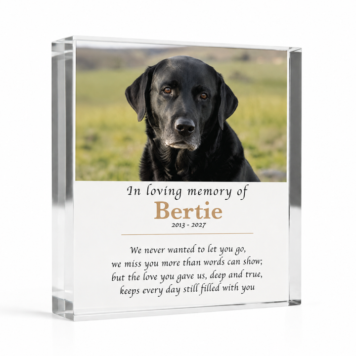 15x15cm square in loving memory pet memorial block with a black Labrador photo and name Bertie