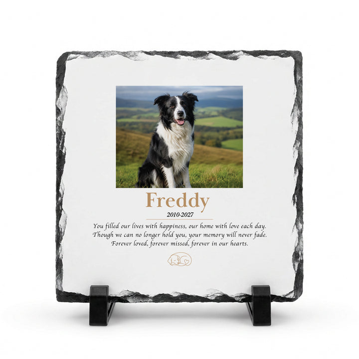 Dog memorial stone in natural slate, 15x15cm small square, with a black and white dog named Freddy on a stand