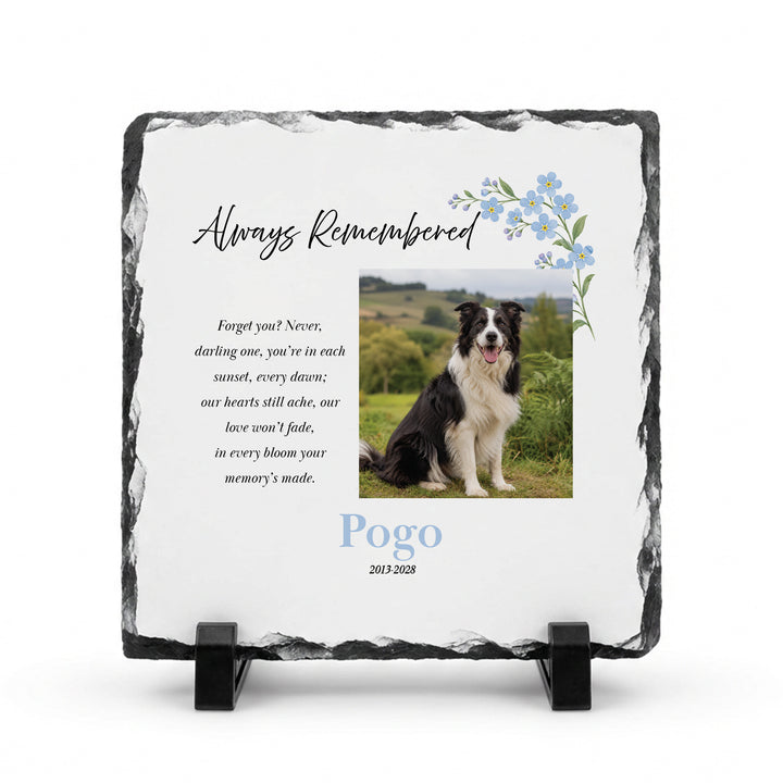 Forget me not memorial plaque in natural slate, 15x15cm small square, with a black and white dog named Pogo on a stand