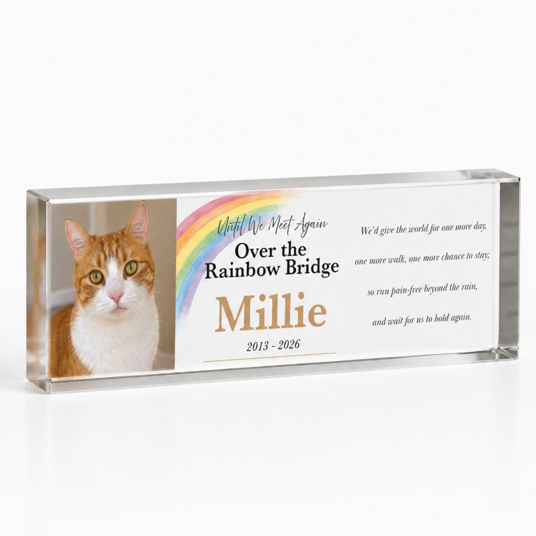 20x6cm slim Rainbow Bridge pet loss gift block with a ginger cat photo and name Millie