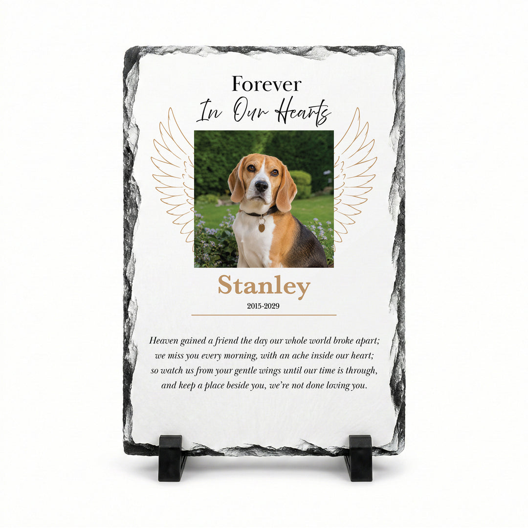 Angel wings memorial plaque in natural slate, 20x30cm large rectangle, with a beagle named Stanley on a stand