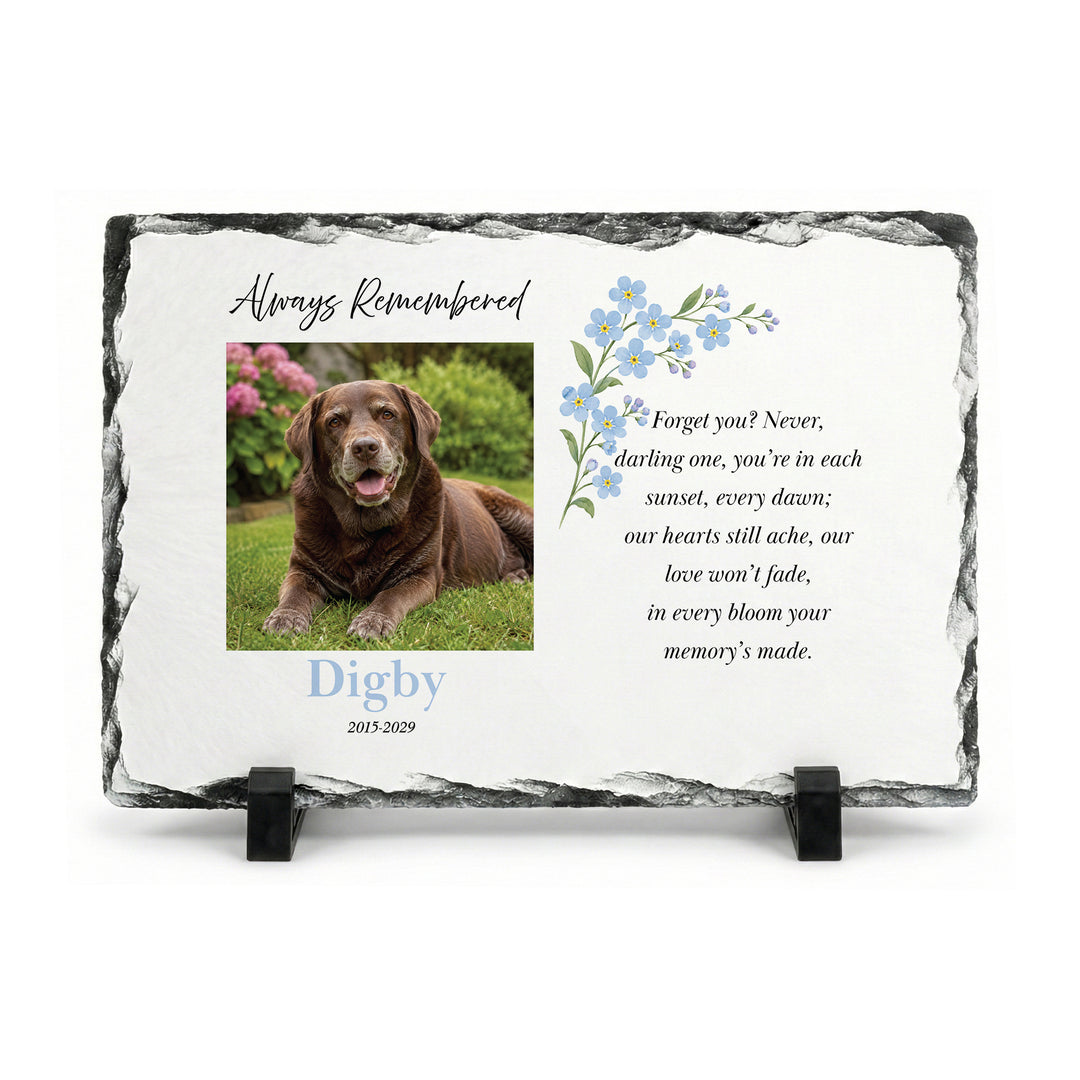 Forget me not memorial plaque in natural slate, 20x30cm large rectangle, with a brown dog named Dixie on a stand