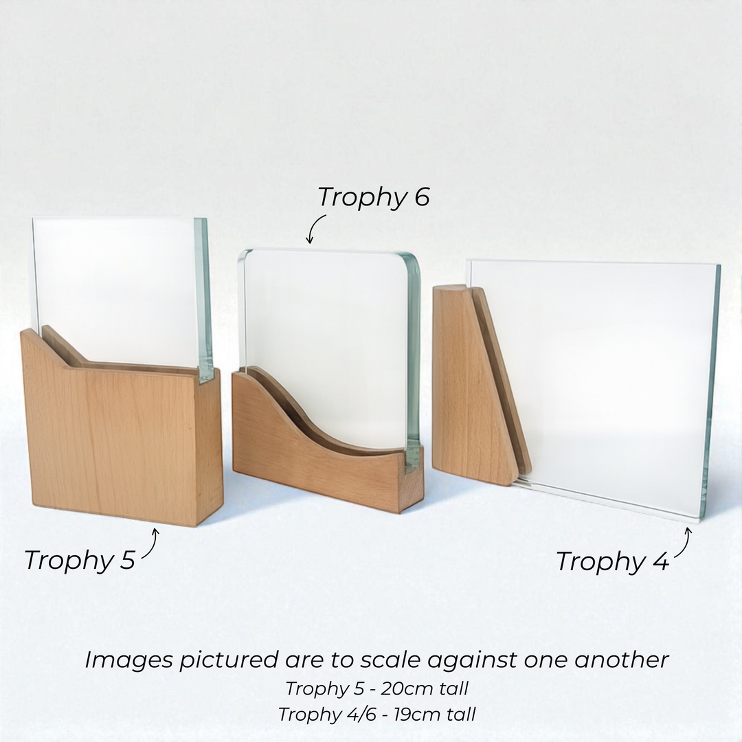 Personalised Crystal Award Trophy - Mountain Crystal