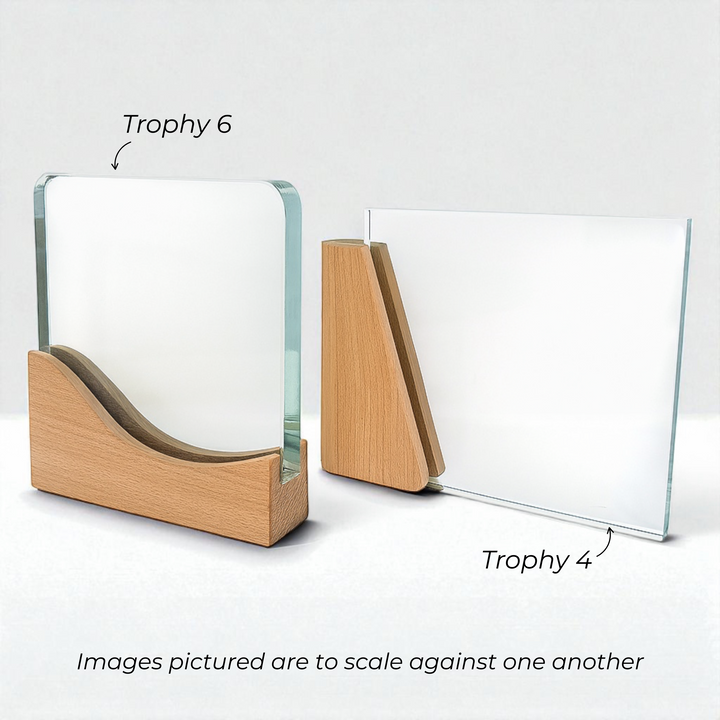 Personalised Crystal Award Trophy - Mountain Crystal